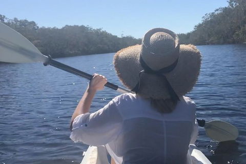 Surf & Kayak = Perfect Half Day Tour - Hervey Bay Accommodation 16
