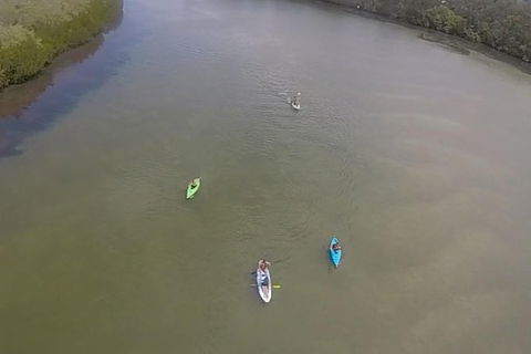 Surf & Kayak = Perfect Half Day Tour - Hervey Bay Accommodation 18