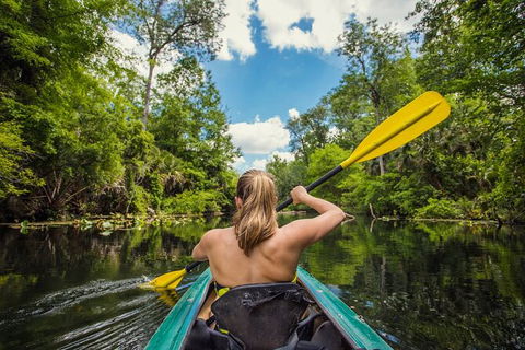 Surf & Kayak = Perfect Half Day Tour - Hervey Bay Accommodation 0