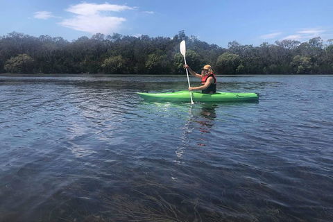 Surf & Kayak = Perfect Half Day Tour - Hervey Bay Accommodation 8