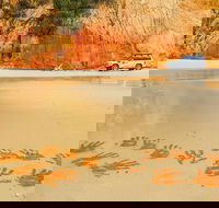 Great Beach Drive 4WD Day Tour Between Noosa and Rainbow Beach - Hervey Bay Accommodation