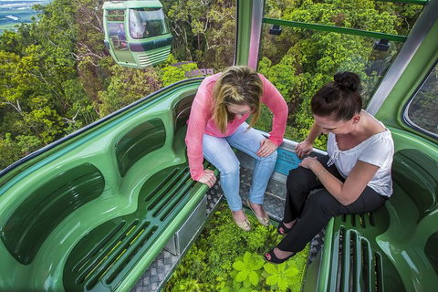 8-Day Cairns Tour: Great Barrier Reef, Kuranda, Daintree Rainforest - Tourism Hervey Bay 1