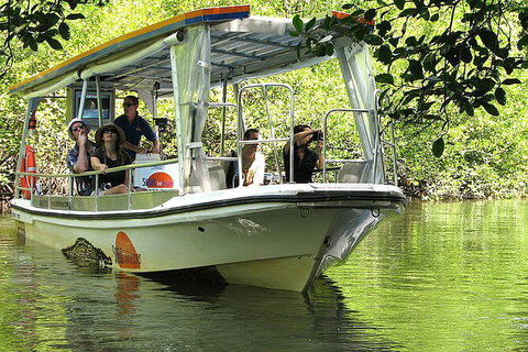 8-Day Cairns Tour: Great Barrier Reef, Kuranda, Daintree Rainforest - Tourism Hervey Bay 3