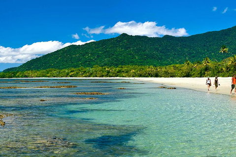 8-Day Cairns Tour: Great Barrier Reef, Kuranda, Daintree Rainforest - Tourism Hervey Bay 4