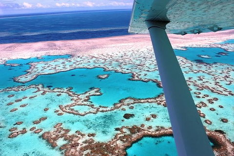 8-Day Cairns Tour: Great Barrier Reef, Kuranda, Daintree Rainforest - Tourism Hervey Bay 0