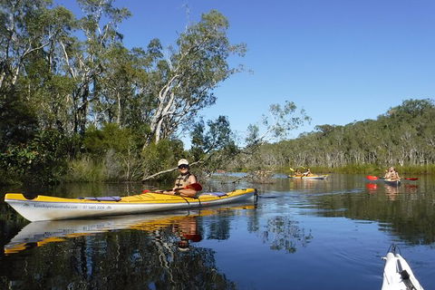 Self-Guided Noosa Everglades Kayak Tour - Hervey Bay Accommodation 0