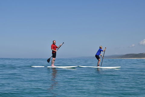 Stand Up Paddle 4WD Day Trip From Noosa Including Great Beach Drive Experience - Hervey Bay Accommodation 1