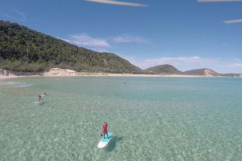 Stand Up Paddle 4WD Day Trip From Noosa Including Great Beach Drive Experience - Hervey Bay Accommodation 2