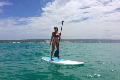 Stand Up Paddle 4WD Day Trip From Noosa Including Great Beach Drive Experience - Hervey Bay Accommodation 11