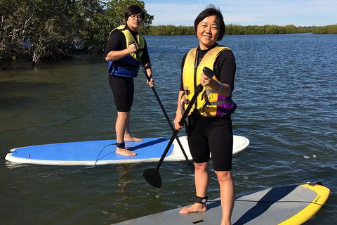 Stand Up Paddle 4WD Day Trip From Noosa Including Great Beach Drive Experience - Hervey Bay Accommodation 10