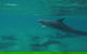 Stand Up Paddle 4WD Day Trip From Noosa Including Great Beach Drive Experience - thumb 12