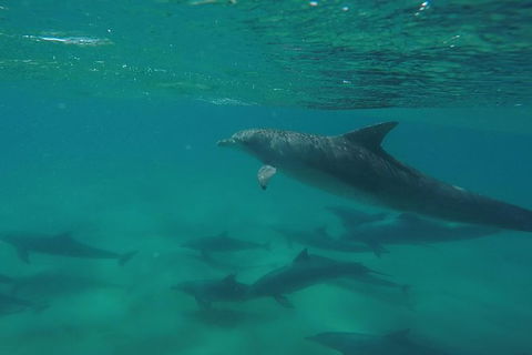 Stand Up Paddle 4WD Day Trip From Noosa Including Great Beach Drive Experience - Hervey Bay Accommodation 12