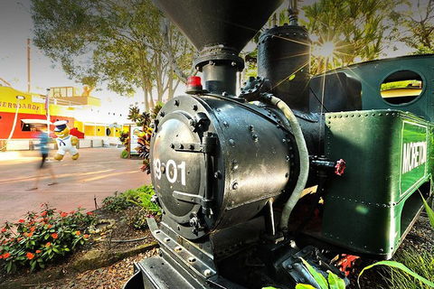 Sunshine Coast Hinterland Rainforest, Views And Montville Day Tour Inc. Lunch - Hervey Bay Accommodation 5