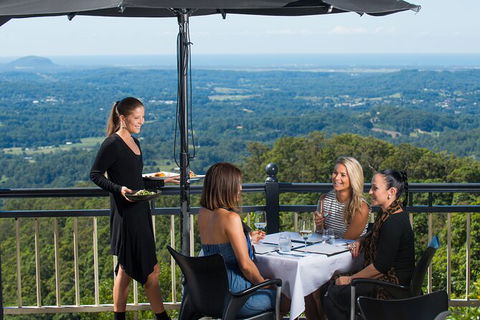 Sunshine Coast Hinterland Rainforest, Views And Montville Day Tour Inc. Lunch - Hervey Bay Accommodation 7