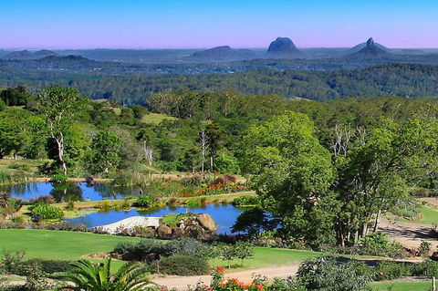 Sunshine Coast Hinterland Rainforest, Views And Montville Day Tour Inc. Lunch - Hervey Bay Accommodation 3