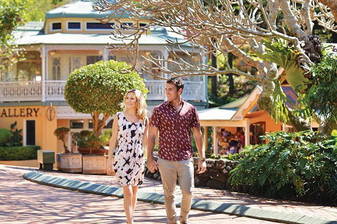 Sunshine Coast Hinterland Rainforest, Views And Montville Day Tour Inc. Lunch - Hervey Bay Accommodation 6