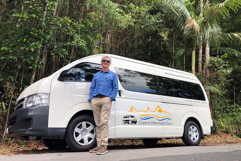 Sunshine Coast Hinterland Rainforest, Views And Montville Day Tour Inc. Lunch - Hervey Bay Accommodation 11