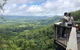 Sunshine Coast Hinterland Rainforest, Views And Montville Day Tour Inc. Lunch - thumb 8
