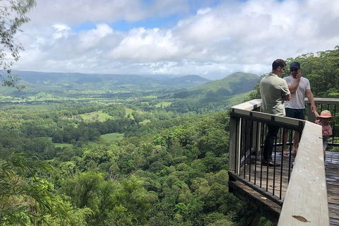 Sunshine Coast Hinterland Rainforest, Views And Montville Day Tour Inc. Lunch - Hervey Bay Accommodation 8
