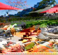 Sunshine Coast Private Gourmet Food and Wine Tour - Hervey Bay Accommodation