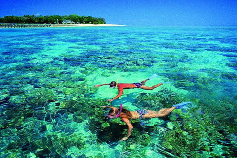 4-Day Cairns With Great Barrier Reef And Daintree Rainforest - Tourism Hervey Bay 3