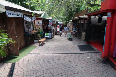 Kuranda Tour Via Skyrail And Kuranda Scenic Rail - Tourism Hervey Bay 8