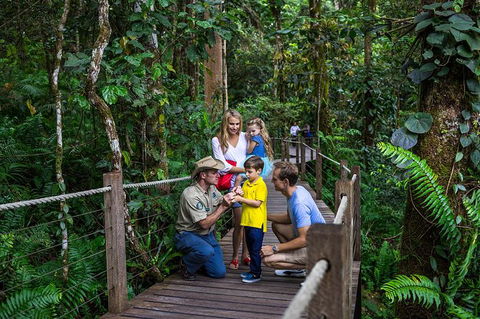 Kuranda Tour Via Skyrail And Kuranda Scenic Rail - Tourism Hervey Bay 14