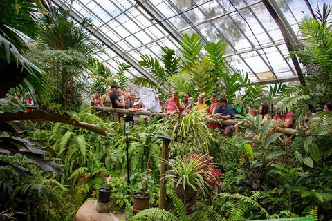 Australian Butterfly Sanctuary - Hervey Bay Accommodation 4