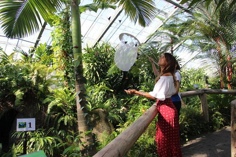 Australian Butterfly Sanctuary - Hervey Bay Accommodation 2