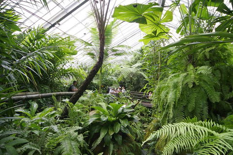 Australian Butterfly Sanctuary - Hervey Bay Accommodation 1