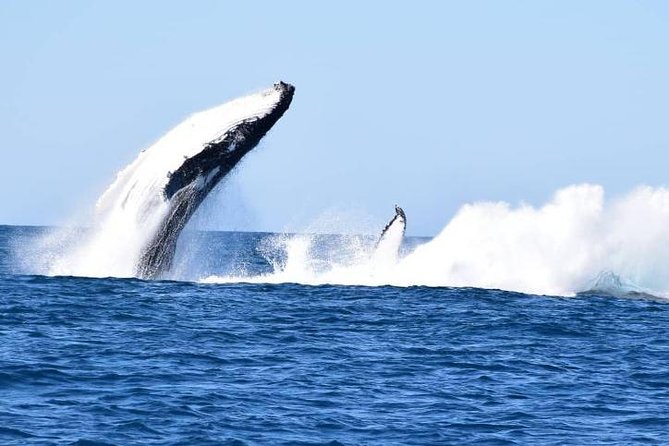 Noosa QLD Hervey Bay Accommodation