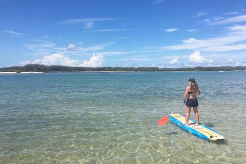 Early Morning Weekend Paddleboard Special - Tourism Hervey Bay 4