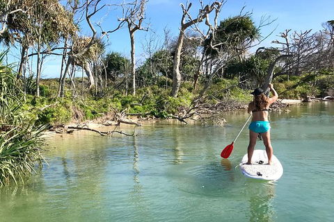 Early Morning Weekend Paddleboard Special - Tourism Hervey Bay 5
