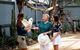 Maleny Botanic Gardens Bird Aviary Experience Ticket - thumb 0