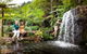 Maleny Botanic Gardens Bird Aviary Experience Ticket - thumb 7