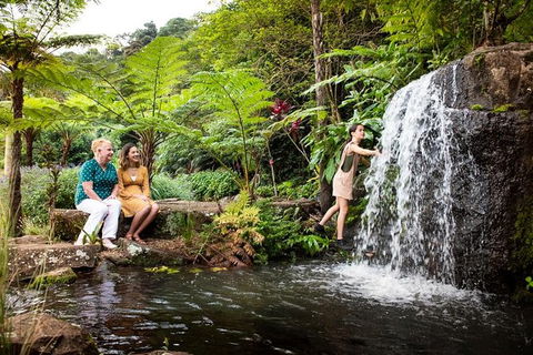 Maleny Botanic Gardens Bird Aviary Experience Ticket - Hervey Bay Accommodation 7
