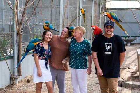 Maleny Botanic Gardens Bird Aviary Experience Ticket - Hervey Bay Accommodation 5