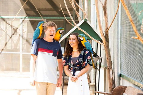Maleny Botanic Gardens Bird Aviary Experience Ticket - Hervey Bay Accommodation 8
