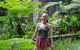 Full-Day Guided Hinterland Adventure Tour In Queensland - thumb 7