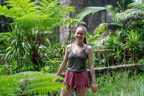 Full-Day Guided Hinterland Adventure Tour In Queensland - Hervey Bay Accommodation 7
