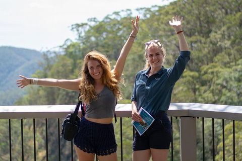 Full-Day Guided Hinterland Adventure Tour In Queensland - Hervey Bay Accommodation 11