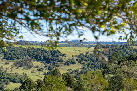 Full-Day Guided Hinterland Adventure Tour In Queensland - Hervey Bay Accommodation 5