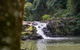 Full-Day Guided Hinterland Adventure Tour In Queensland - thumb 9