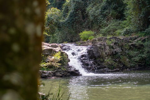 Full-Day Guided Hinterland Adventure Tour In Queensland - Hervey Bay Accommodation 9