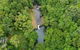 Full-Day Guided Hinterland Adventure Tour In Queensland - thumb 0