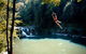 Full-Day Guided Hinterland Adventure Tour In Queensland - thumb 4