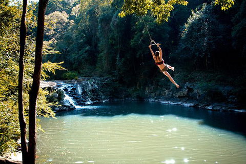 Full-Day Guided Hinterland Adventure Tour In Queensland - Hervey Bay Accommodation 4