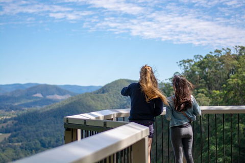 Full-Day Guided Hinterland Adventure Tour In Queensland - Hervey Bay Accommodation 8