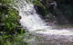 Full-Day Guided Hinterland Adventure Tour In Queensland - thumb 6