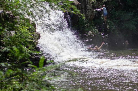 Full-Day Guided Hinterland Adventure Tour In Queensland - Hervey Bay Accommodation 6